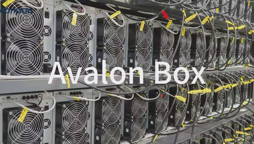 Asic Miner Container Avalon Box